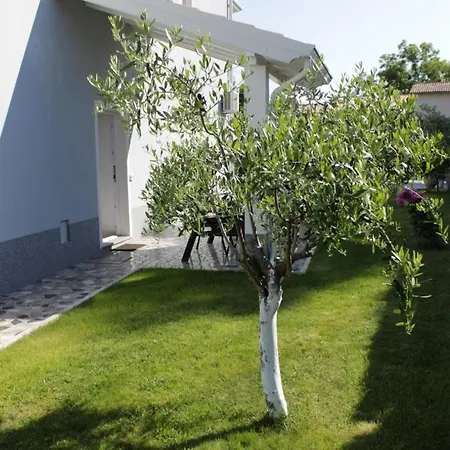 Guest house Titonel 3*